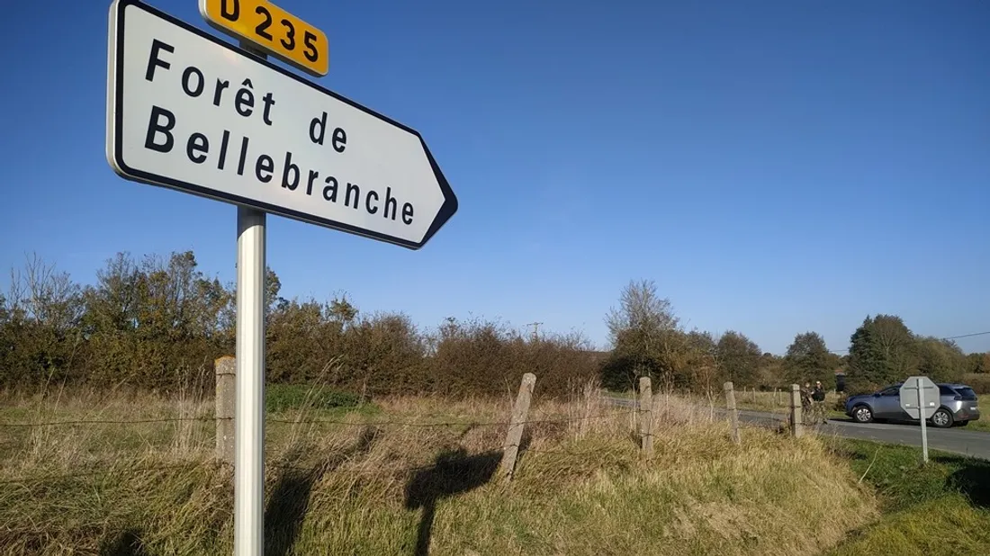 Forêt Bellebranche Saint Brice_09 11 21_CJ